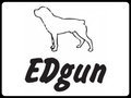 EDgun EDgun