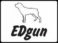 EDgun