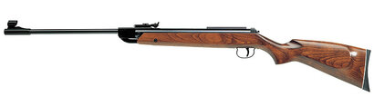 Diana model 28