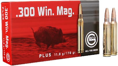 .300 Patronen