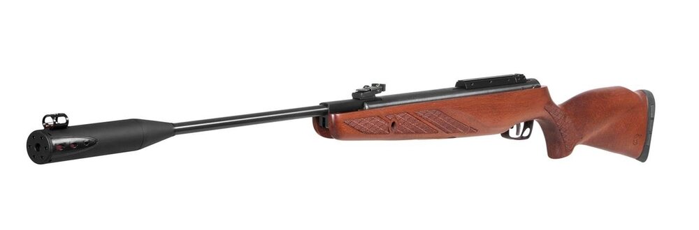 Gamo Hunter 1250 Grizzly Pro Whispher IGT MACH 1 5,5 mm  