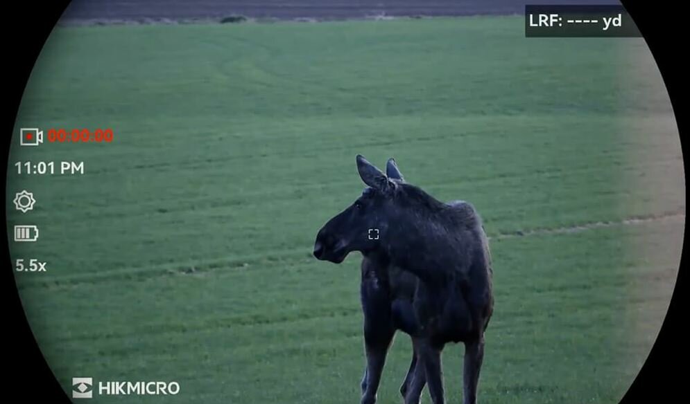 Hikmicro Multispectralverrekijker Habrok 4K HQ35L