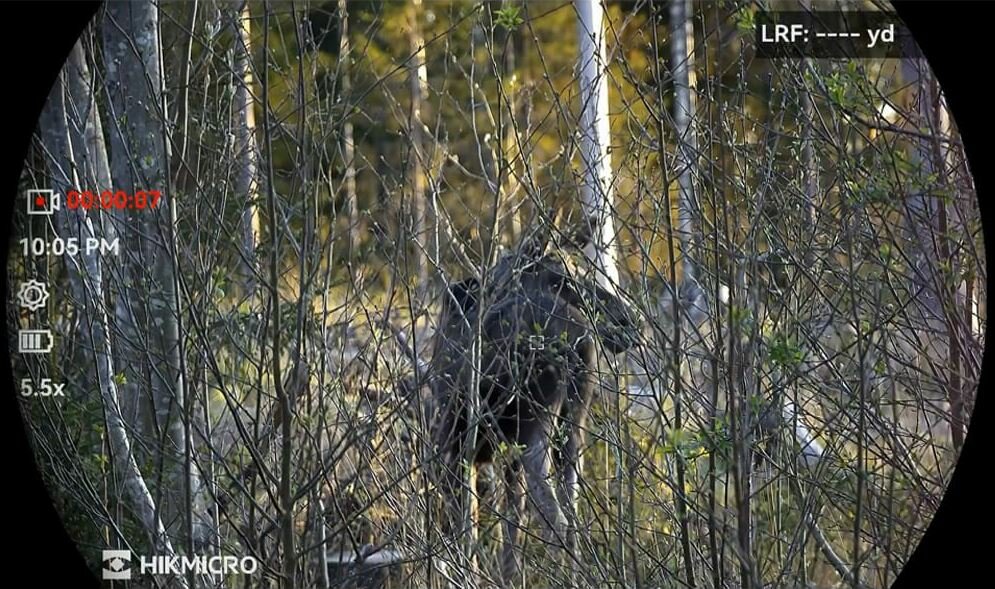 Hikmicro Multispectralverrekijker Habrok 4K HQ35L