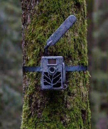 Zeiss Secacam 7 wildcamera