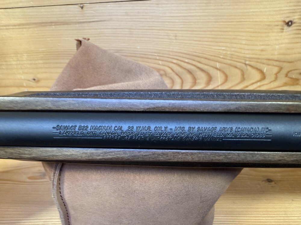Savage .22 WMR / Magnum B22