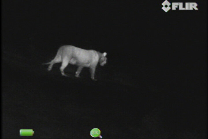 FLIR Scout III 320 Warmtebeeldcamera