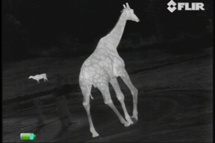 FLIR Scout III 320 Warmtebeeldcamera
