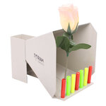 RAM TARGETS SCHIETKAST VOOR PIJPJES