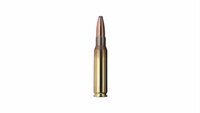 Geco .308 Win Softpoint 20 stuks 11 gram / 170grain