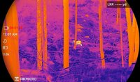 Hikmicro Multispectralverrekijker Habrok 4K HQ35L