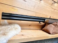 Beretta S55