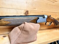 Beretta S55