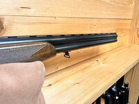 Beretta S55