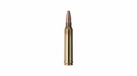 Geco classic .300 Win Mag. TM - 170 grain / 11 gram.