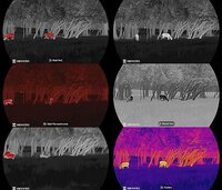 Hikmicro warmtebeeldkijker Lynx 3.0 LH19