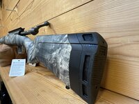 Savage Axis Overwatch 22-250