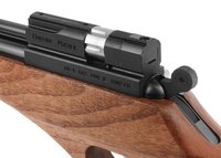 Evanix AR6 Hunting Master Pistol