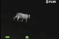 FLIR Scout III 320 Warmtebeeldcamera