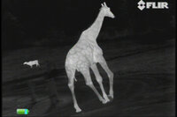 FLIR Scout III 320 Warmtebeeldcamera