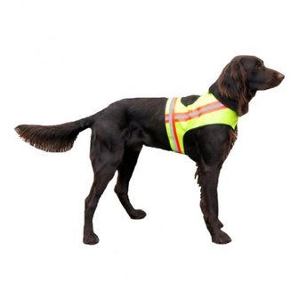 Honden veiligheidsvest