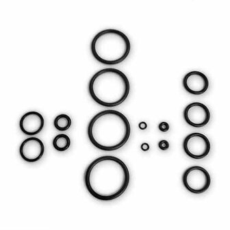 Air Arms S200 (CZ 200 )  sealkit