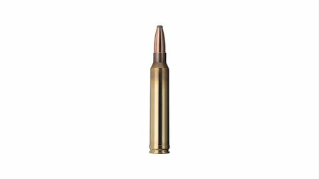 Geco classic .300 Win Mag. TM - 170 grain / 11 gram.