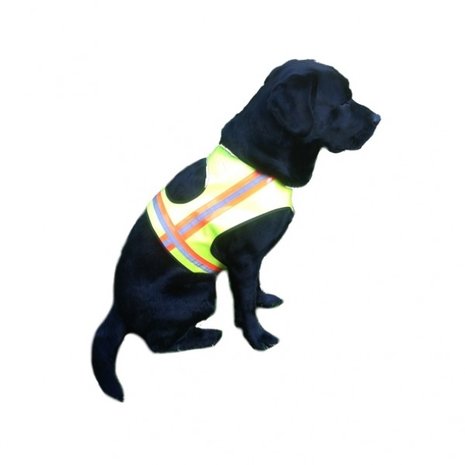 Honden veiligheidsvest