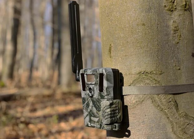  HikMicro Wildcamera M15