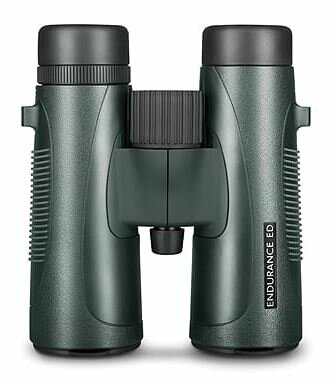 Hawke Endurance ED 10 x 42 Green