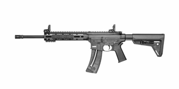 M&amp;P 15-22 Sport MOE SL