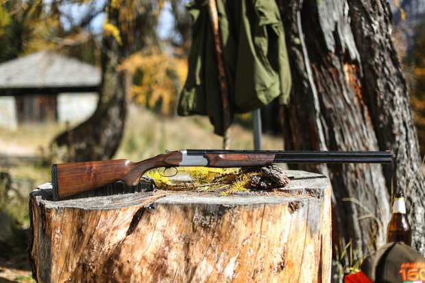 Franchi bock- Feeling Aluminium 20/76 71cm 2,50kg