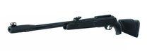 Gamo CFX IGT .22 sale