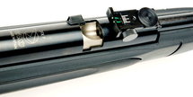 Gamo CFX IGT .22 sale