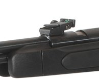 Gamo CFX IGT .22 sale