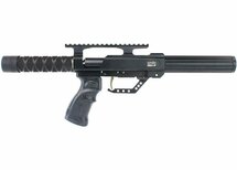 Evanix Rex-P .45 showroom model