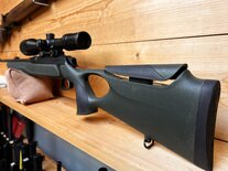 Sauer 303 XT semi-auto .30-06