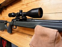 Sauer 303 XT semi-auto .30-06