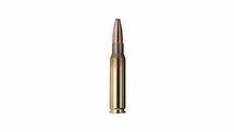 Geco .308 Win Softpoint 20 stuks 11 gram / 170grain