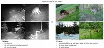 Zeiss Secacam 5 wildcamera