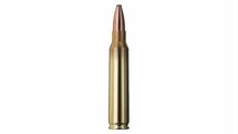 Geco .223Rem 53gr Softpoint