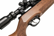 Weihrauch HW98 Silhouette