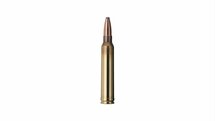 Geco classic .300 Win Mag. TM - 170 grain / 11 gram.