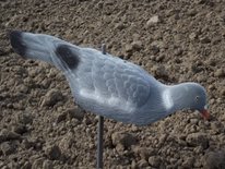 Beflockte stapelbare duif