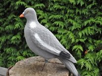 Beflockte volle duif met pin