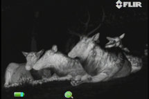 FLIR Scout III 240 Warmtebeeldcamera