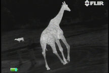 FLIR Scout III 240 Warmtebeeldcamera