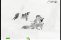 FLIR Scout III 240 Warmtebeeldcamera