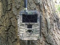Uovision3G wildcamera Sale