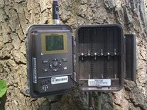 Uovision3G wildcamera Sale