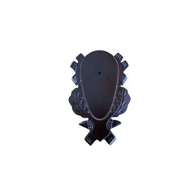 Geweiplank eiken bruin gelakt maat 24x15cm, incl. kaakuitsparing + schedelklem